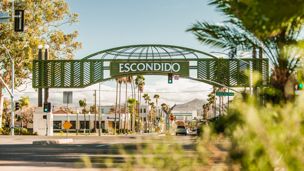 Escondido Street Festival 2024 - Leona Ninetta