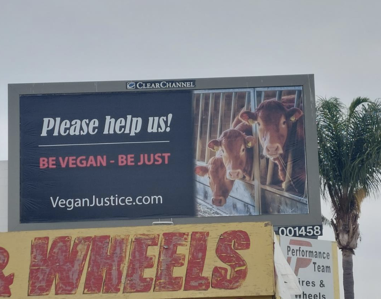 Billboard of cows cramped together