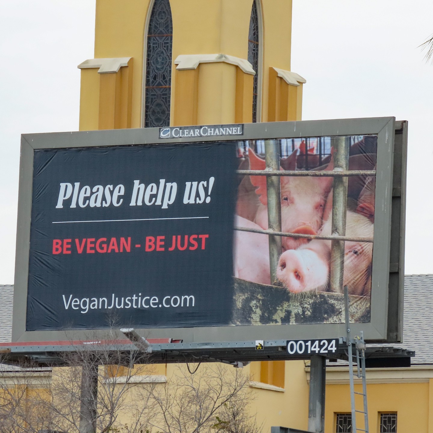 Billboard of pigs cramped together